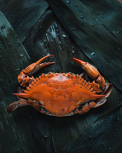 Image by Mae Mu