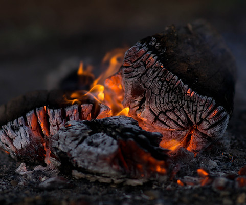 Image by Wil Stewart