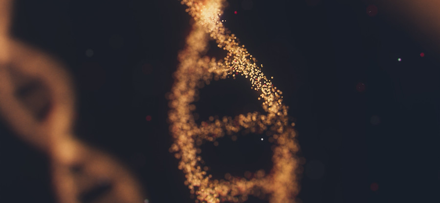 Image by Anirudh