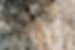 Image by Anthony Gibson