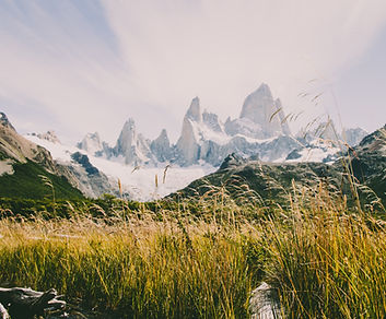 Image by Peter Conlan