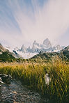 Image by Peter Conlan