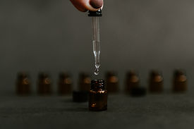 Image by Kelly Sikkema