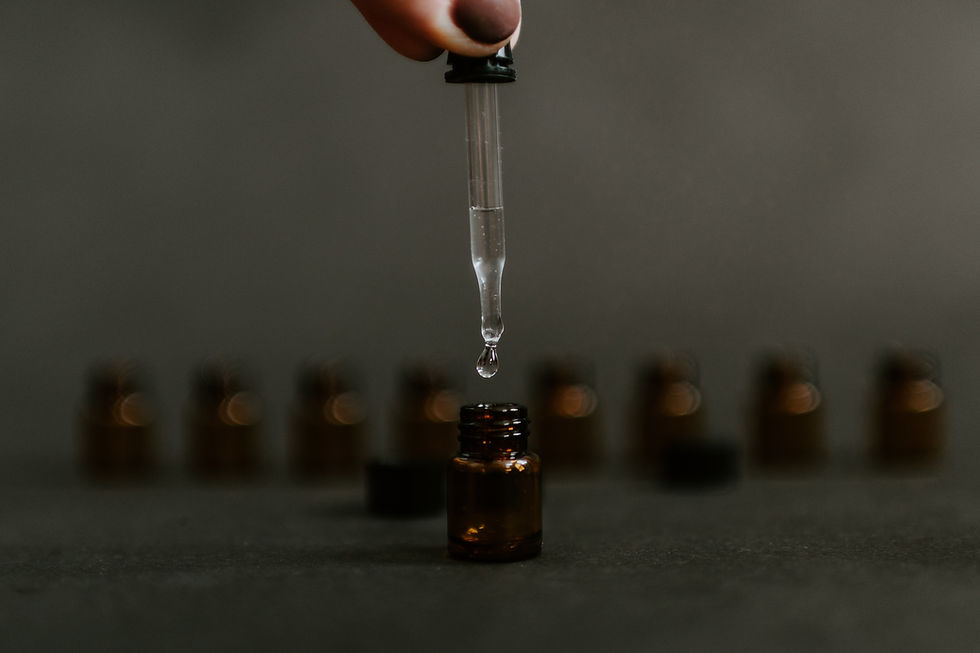 Image by Kelly Sikkema