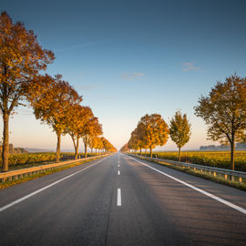 Bunny Transport Routes - August/September