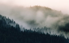 Image by Dave Hoefler