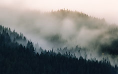 Image by Dave Hoefler