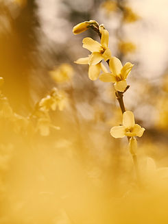 Image by Aaron Burden