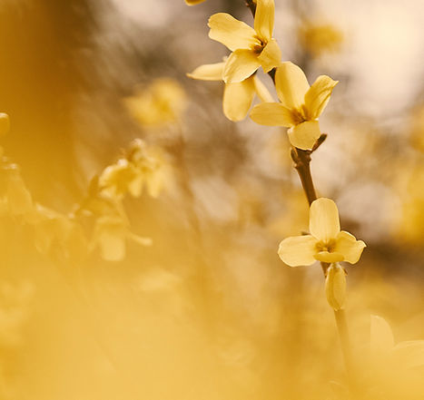 Image by Aaron Burden