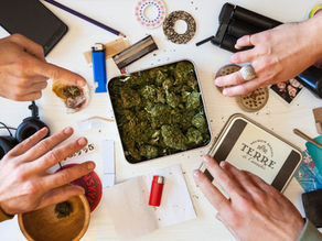 עבירות סמים: כך הפך כתב אישום חמור להסדר טיעון מקל