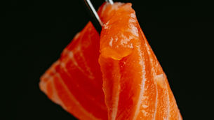 JBS injects AUD 110m to expand salmon production in Australia