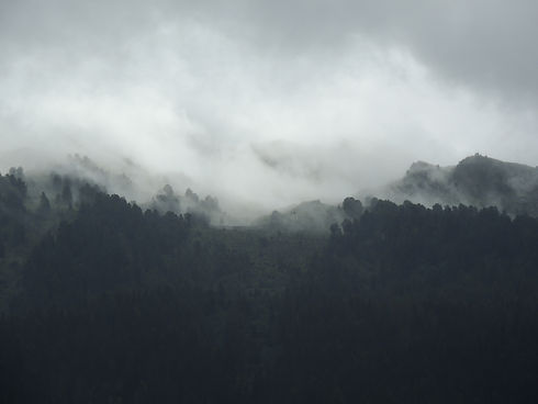 Image by Thomas Tixtaaz