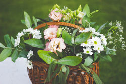 Image by el alce web