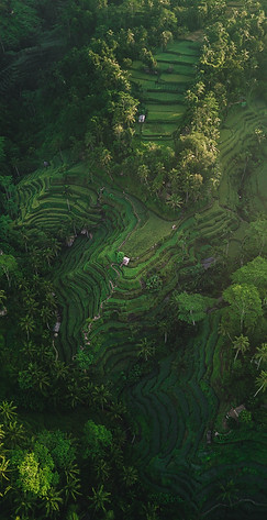 Image by Silas Baisch