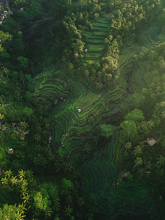 Image by Silas Baisch