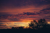 Image by Jesse Gardner