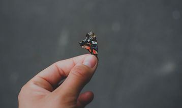 Image by Jasmin Schreiber