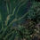 Thumbnail: Bali Blue Moon Organic