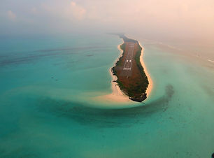 Image by Anuj Chauhan