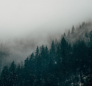 Image by Dorel Gnatiuc