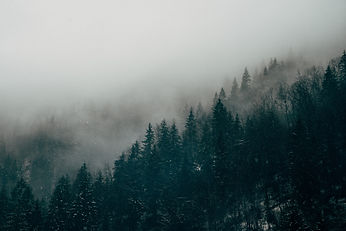 Image by Dorel Gnatiuc