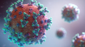 The Truth About COVID-19 Antibody Test