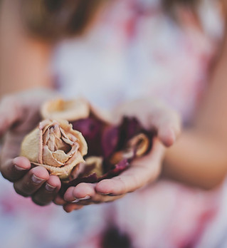 Image by Katherine Hanlon