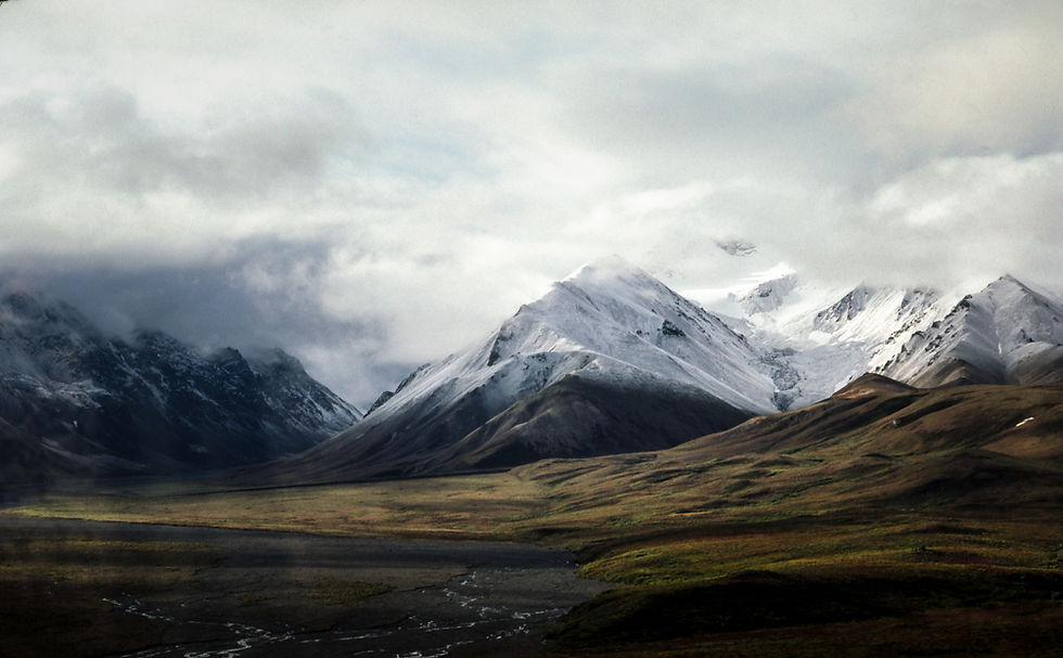 Image by Nathan Anderson