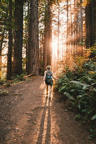 Image by Kevin Wolf