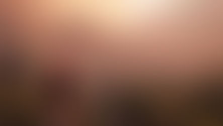 זום אאוט להצלחה