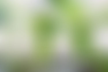 What is Stopping Your Growth?