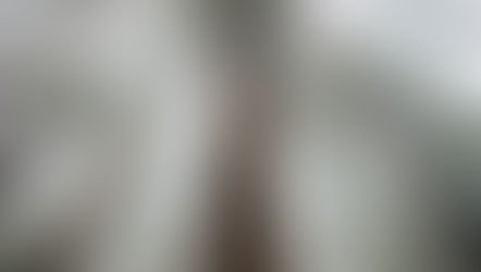 ENFRENTANDO GIGANTES