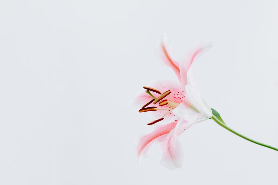 Image by Pawel Czerwinski