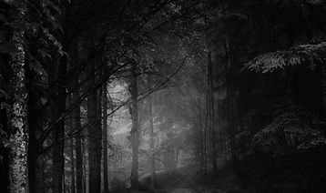 Image by Simon Berger