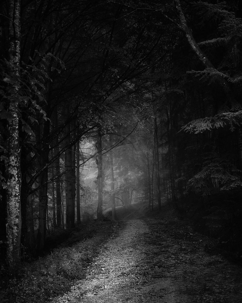 Image by Simon Berger