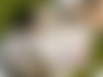 Couple in a park in manhattan having a picnic