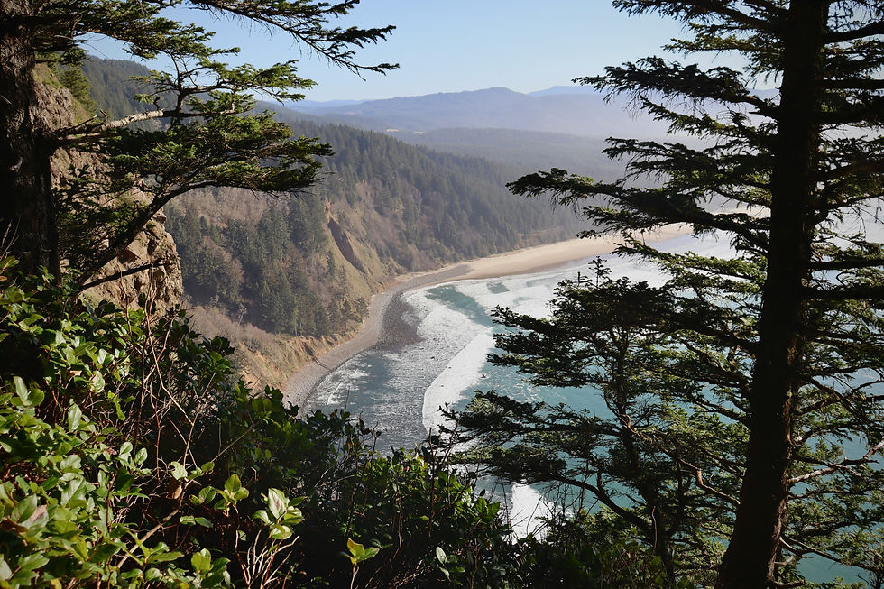 oregon coast homes for sale