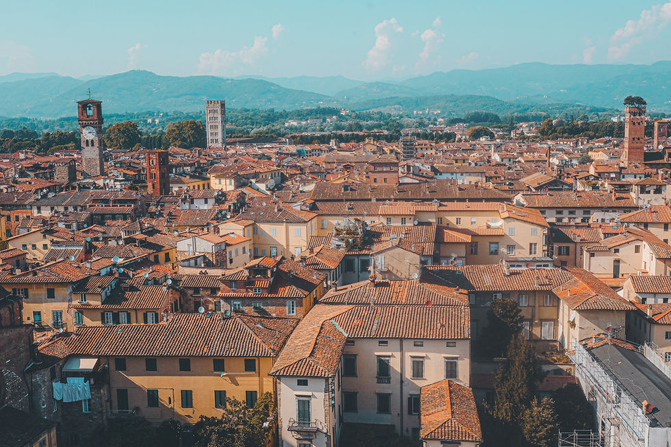 Image by Cristina Gottardi