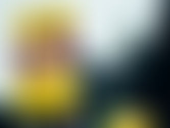 Info-Veranstaltung mit Gerd Wiegel (DGB): AfD – Feind der Beschäftigten