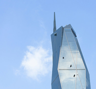 Image by Evelinn Idenfors