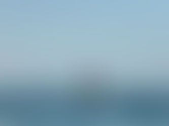 Was it a Fish or a Whale?