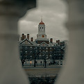 Image by Clay Banks