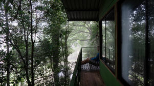 A Kiss from Rose | What More Do You Want