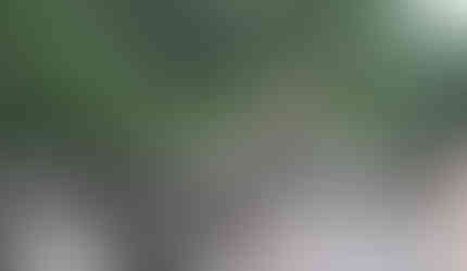 Leopard spotted at the Jhalana Safari Park, Jaipur