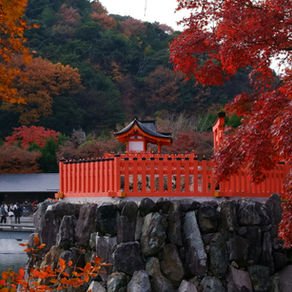 Japan Beyond Tokyo: The Autumn Travel Guide for Australians