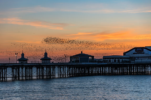 Image by Paul Berry