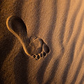 Image by Jeremy Bishop