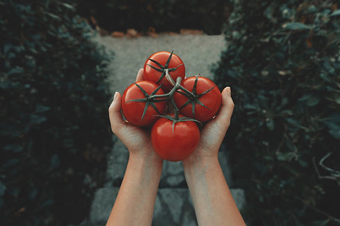 Image by Clay Banks