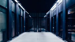 Website Backups
