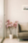 Image by Sofy M. | halftoneco